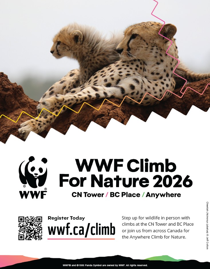 2026-Poster-National