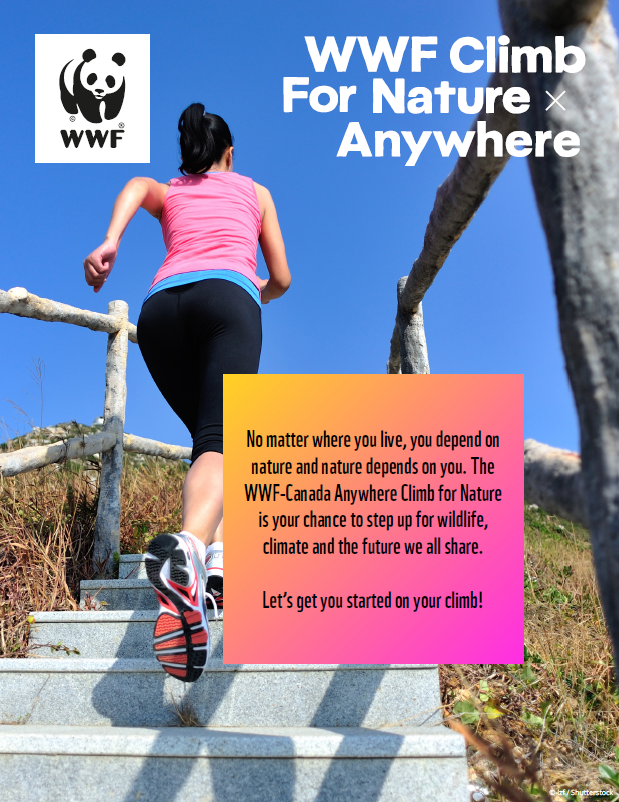 Anywhere Climb Guide