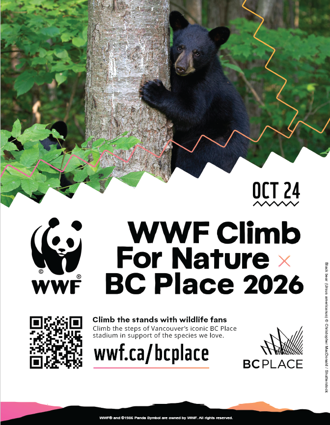 2026 Poster BC Place