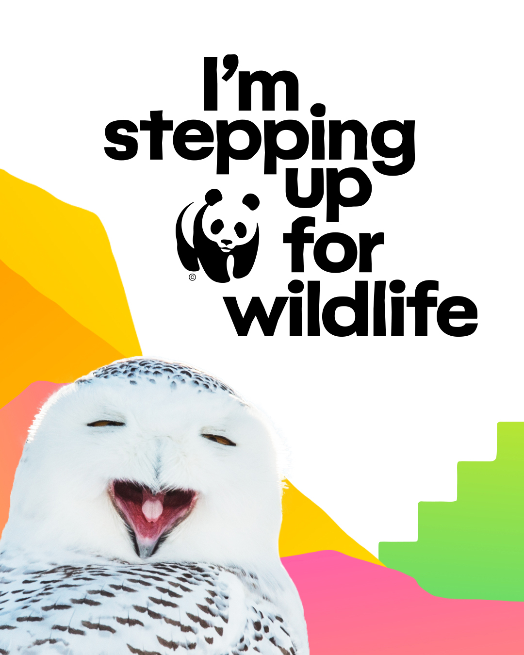 National portrait-stepping-up-for-wildlife