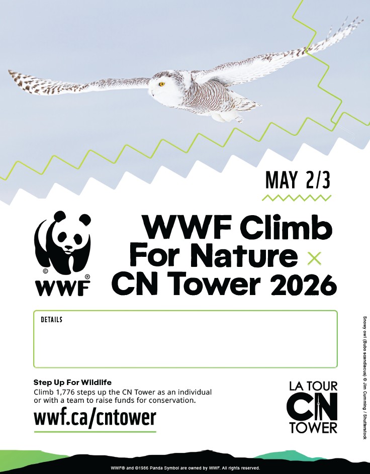 2026-EditablePoster-CNTower