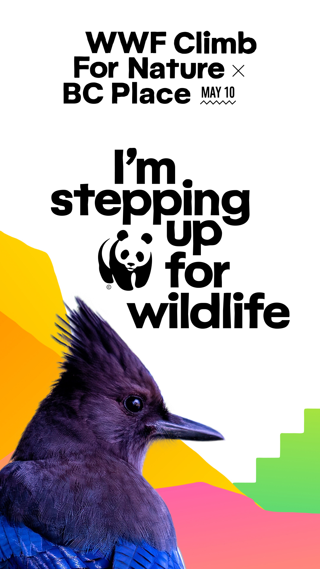 BC vertical-stepping up