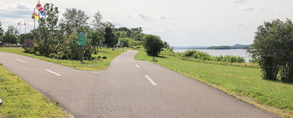 A paved trail with grass on either side reaches a fork covered with trees with a river on one side and grassland on the other.
