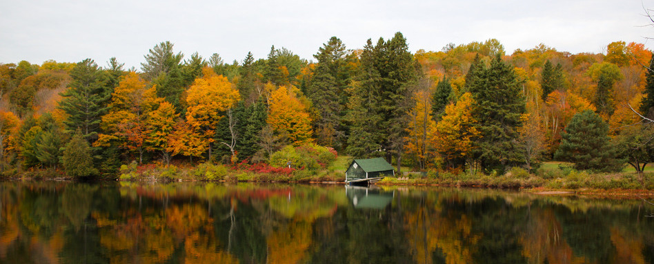 A view of fall colours on trees across a small lake.
