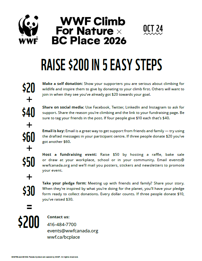 2026-BC raise $200