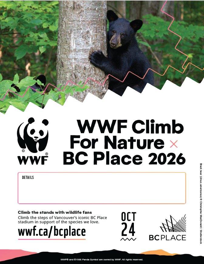 BC poster editable 2026