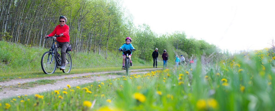 People riding bikes on a tree-lined trail. People riding bikes on a tree-lined trail.