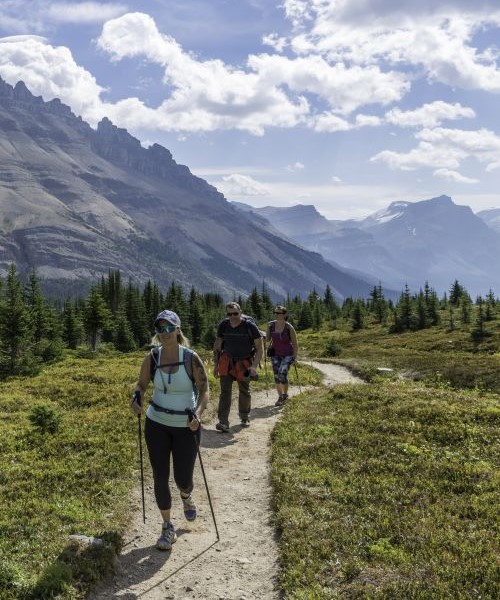 Three people hike on a remote trail in Alberta with mountains in the background on a sunny day.