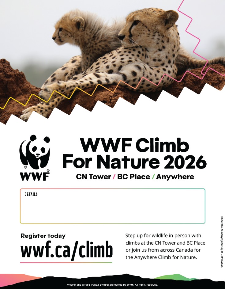 2026-EditablePoster-National