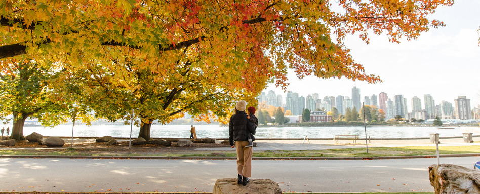 A tree in Stanley Park with leaves turning yellow with the Vancouver skyline in the background.