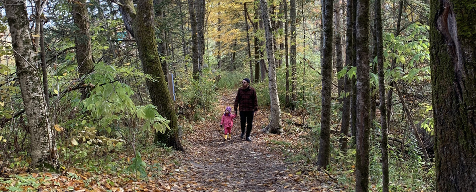 A child and her parent walk along a trail through a forest.