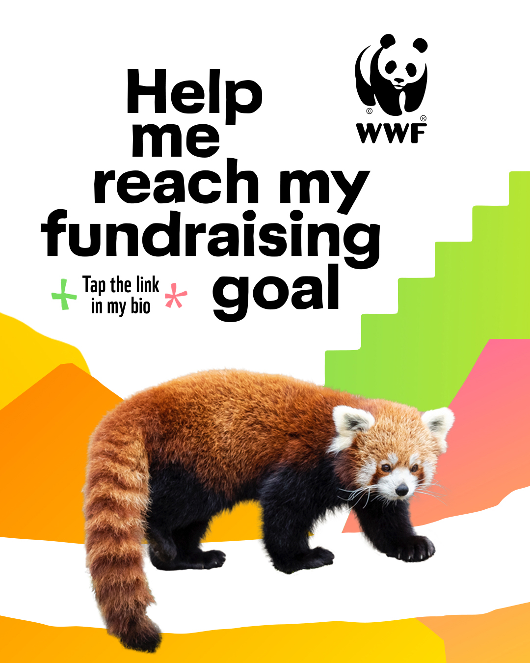 National-portrait-reach-my-goal