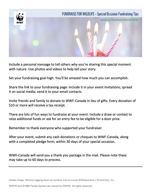 Fundraising Tips