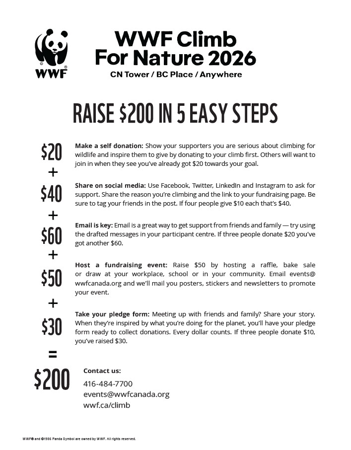 2026-FundraisingTips-National