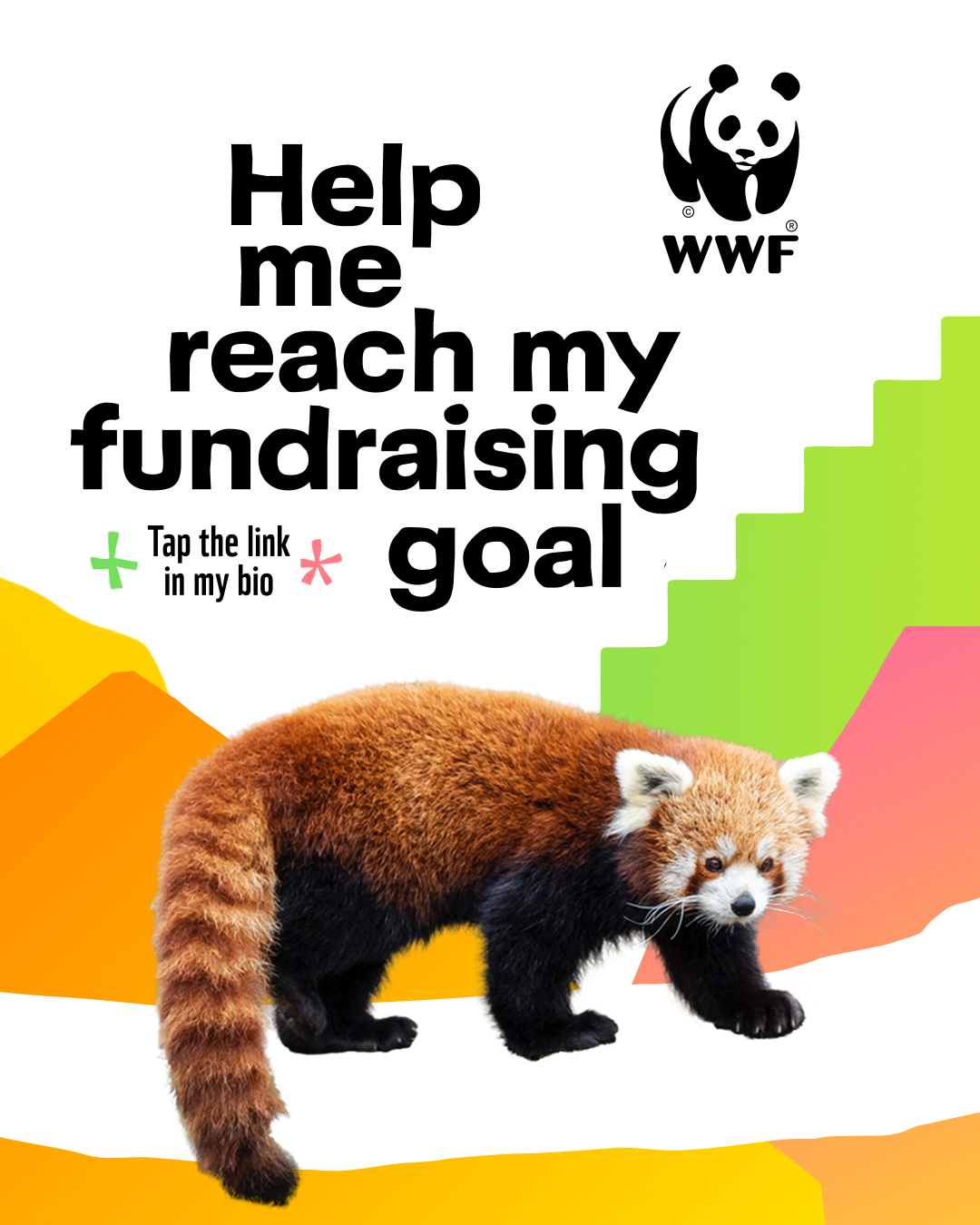BC portrait-reach-my-goal